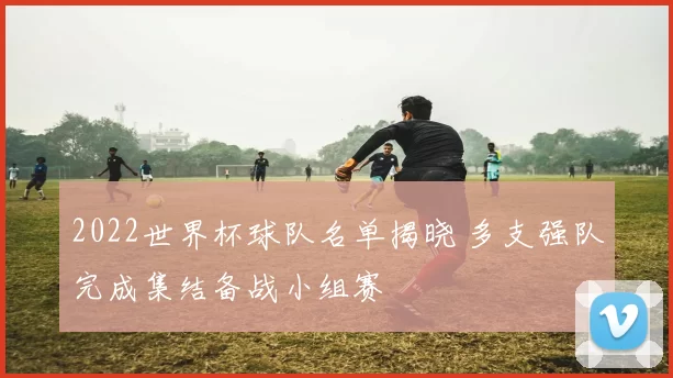 2022世界杯球队名单揭晓 多支强队完成集结备战小组赛