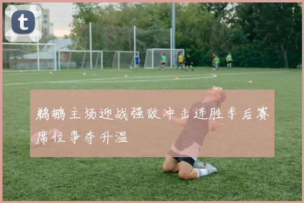 鹈鹕主场迎战强敌冲击连胜季后赛席位争夺升温