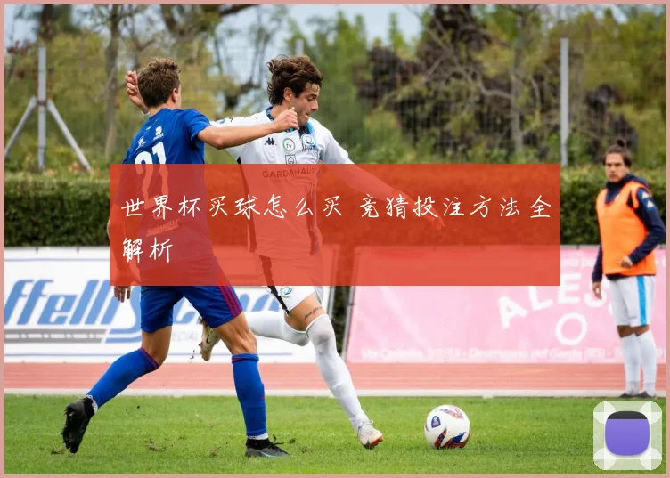 世界杯买球怎么买 竞猜投注方法全解析