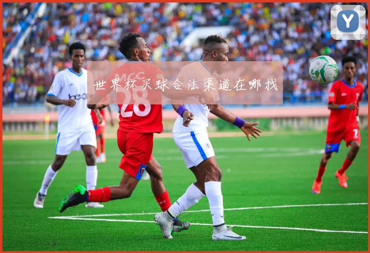 世界杯买球合法渠道在哪找