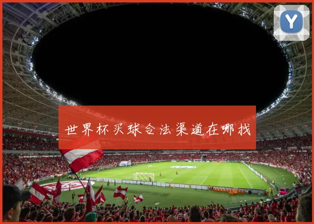 世界杯买球合法渠道在哪找